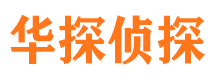 洛宁寻人公司